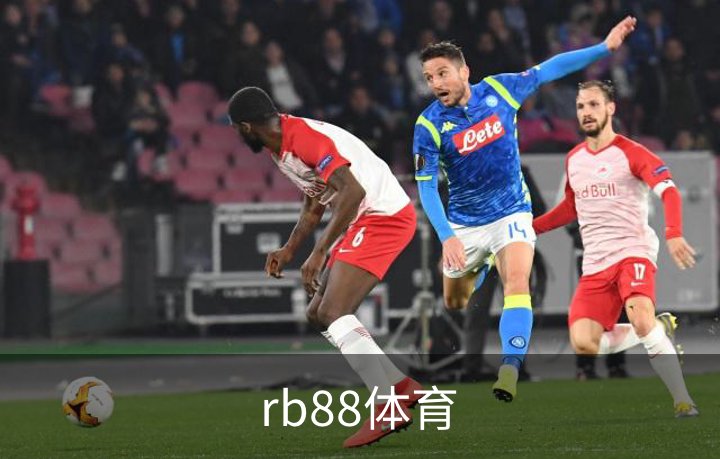 关于rb88体育
